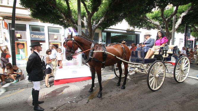 Fotogaler&iacute;a del paseo de caballos y exhibici&oacute;n de carruajes. Feria Almer&iacute;a 2019