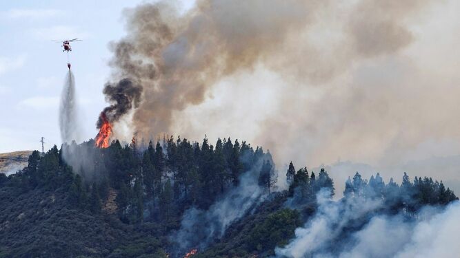 Las im&aacute;genes del incendio forestal en Gran Canaria.