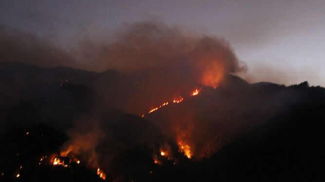 Las im&aacute;genes del incendio forestal en Gran Canaria.