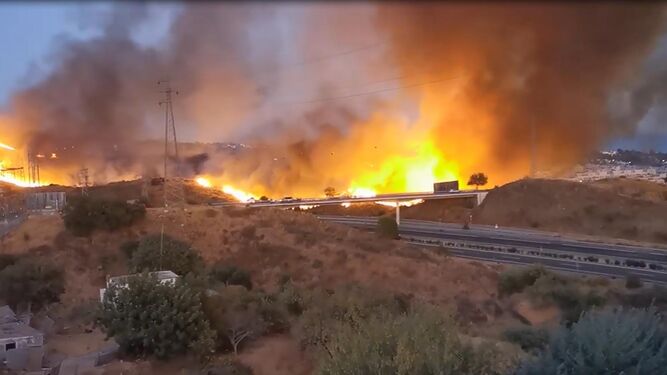 Incendio forestal en Marbella, cerca de la AP-7