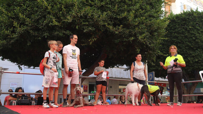 Fotogaler&iacute;a del concurso canino. Feria de Almer&iacute;a 2019