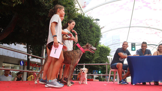 Fotogaler&iacute;a del concurso canino. Feria de Almer&iacute;a 2019