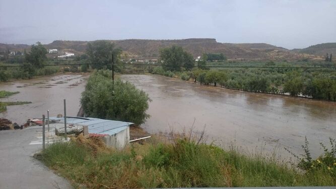 Agua acumulada en explotaciones agrícolas de Serón, esta mañana.