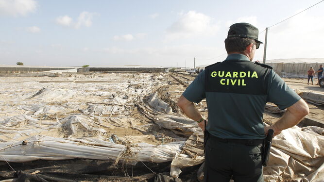 Fotogaler&iacute;a visita Juanma Moreno invernaderos afectados por las inundaciones en Cabo de Gata