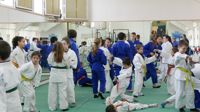 El Taekwondo es una de las modalidades que se ofertan.