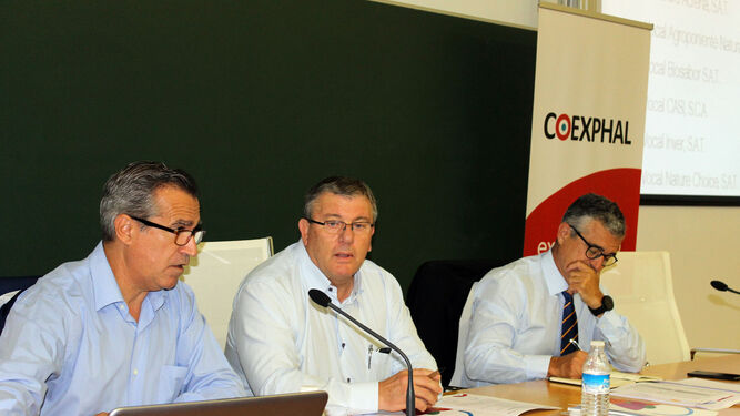 Luis Miguel Fernández, gerente de Coexphal, junto a Juan Antonio González (presidente) y Juan Colomina.