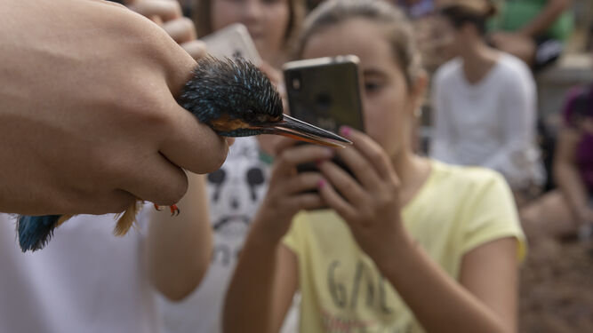 El sábado se celebró el Día Mundial de las Aves en el Salar de los Canos de Vera.