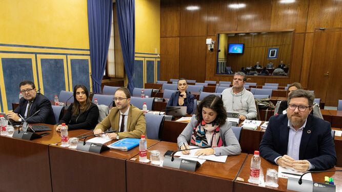 Los diputados de la comisión de investigación sobre la Faffe en el Parlamento de Andalucía.