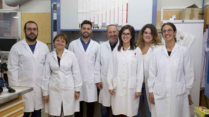 Investigadores de la Universidad de Alicante participantes y responsables de este proyecto.