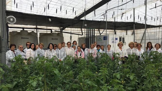 Representantes de la Asociación Valenciana de Agricultores visitaron las instalaciones del proyecto LIFE Deseacrop en la Finca UAL-Anecoop el pasado 18 de octubre.