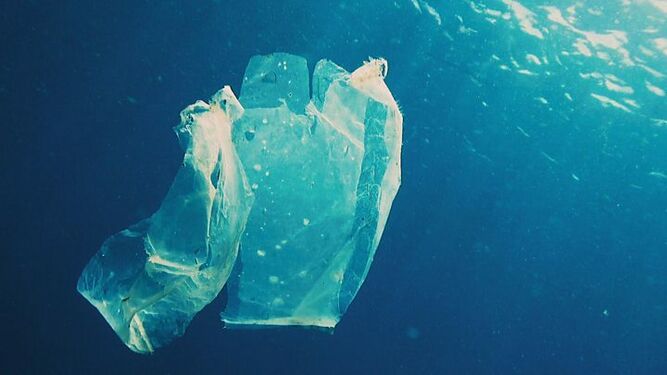 Bolsas de plástico