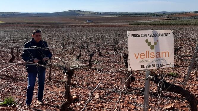 Vellsam consolida su crecimiento nacional con buenos resultados en su primer año en Castilla-La Mancha