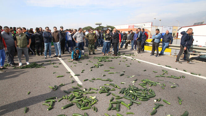 Las imágenes de la manifestación de agricultores