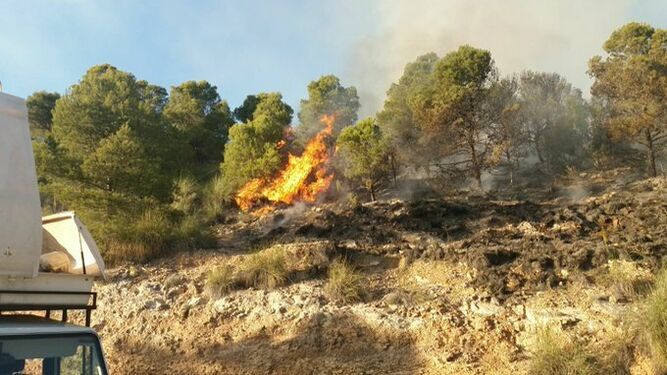 El Infoca trabaja en la extinción de un incendio en la Sierra de Gádor en Felix