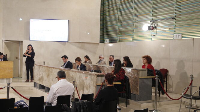 Fotogaler&iacute;a Pleno Extraordinario Ayuntamiento de Almer&iacute;a