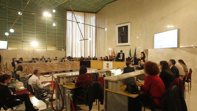 Fotogaler&iacute;a Pleno Extraordinario Ayuntamiento de Almer&iacute;a