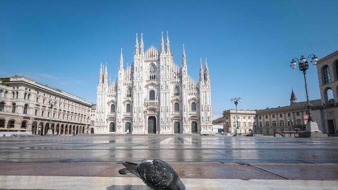 Una paloma bebe de un charcoen las desiertas inmediaciones del Duomo de milán.