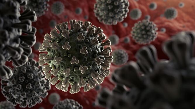 Investigadores australianos demuestran que un fármaco antiparasitario mata al coronavirus en 48 horas