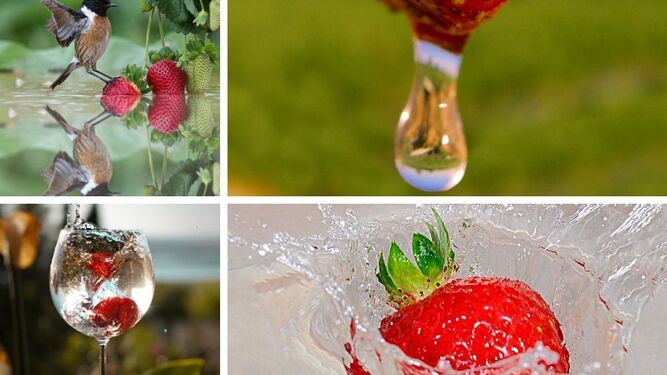 CR Palos amplía hasta el próximo 19 de junio el plazo del IX Concurso de Fotografía sobre ‘El agua y los frutos rojos’