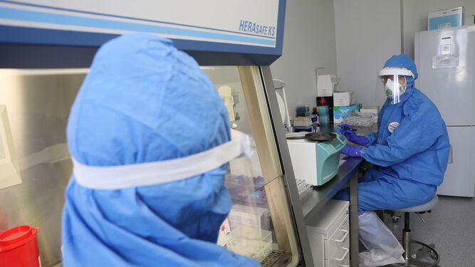 Almería suma un paciente más en la UCI por coronavirus.
