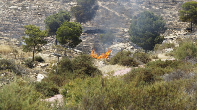 Fotogaler&iacute;a incendio en Los Almendros