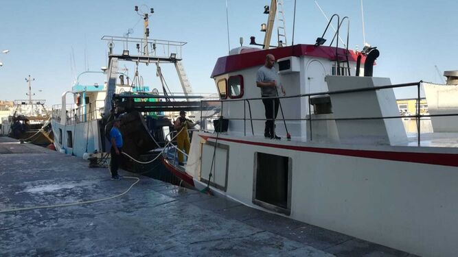 Pesqueros a su llegada a la lonja almeriense tras la faena en la mar
