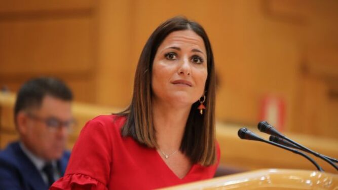 La portavoz del PSOE de la Comisión de Derechos de la Familia, Inés Plaza.