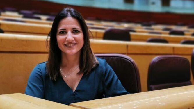 La portavoz del PSOE de Educación, Inés Plaza