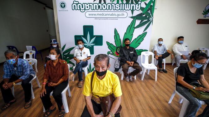 En Tailandia el Gobierno ya autoriza el uso medicinal del cannabis