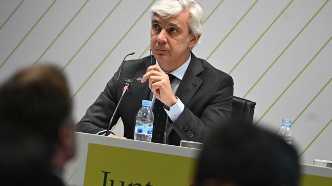 Ignacio Silva, presidente y consejero delegado de Deoleo