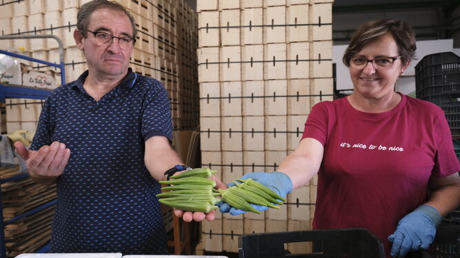 Juan Garrido y Mari Carmen en las instalaciones agrícolas