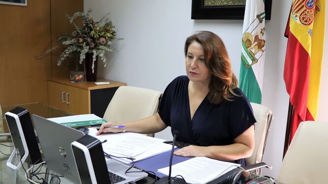 Videoconferencia de la consejera de Agricultura, Carmen Crespo.