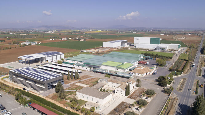 “Instalaciones de la EAP Dcoop en Antequera, donde se observa la nueva bodega de aceite, industria láctea y laboratorio, proyectos impulsados por las ayudas a cooperativas prioritarias”.