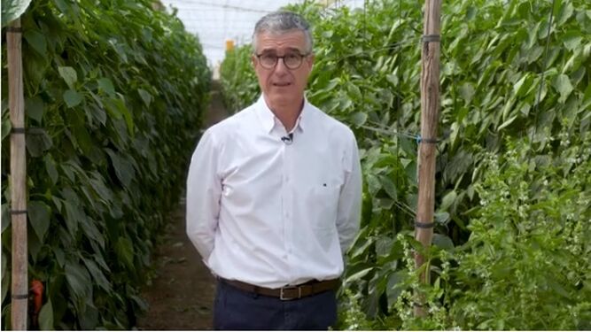 Juan Colomina, portavoz de Aproa, explicando en directo y desde Almería las bondades del invernadero solar en Fruit Attraction