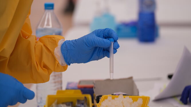 La pandemia deja 10 fallecidos en Almería, siete de ellos en el norte de la provincia