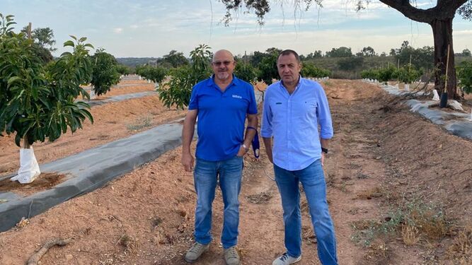 Martyn Pearce, director de Negocio de Ecoculture, y Juan López, delegado en Huelva, en un cultivo en esta provincia