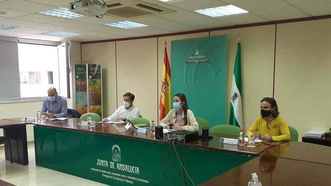 Reunión telemática de la delegada con representantes de Organizaciones Profesionales Agrarias (Opas) de Almería y con empresas recicladoras.