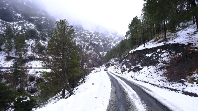 Fotogaler&iacute;a nevada en la Provincia de Almer&iacute;a