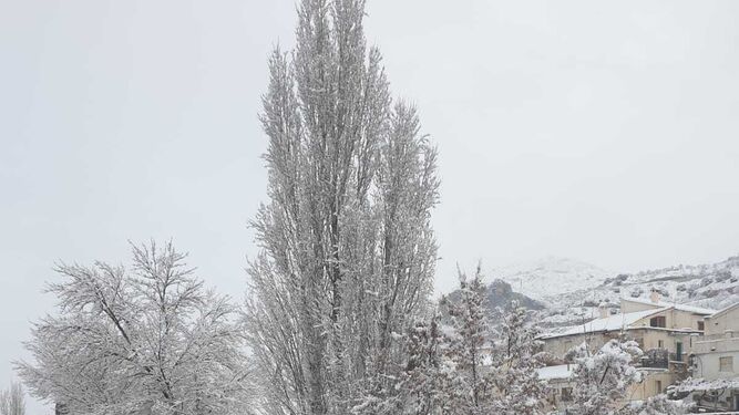 Primera gran nevada en Almer&iacute;a