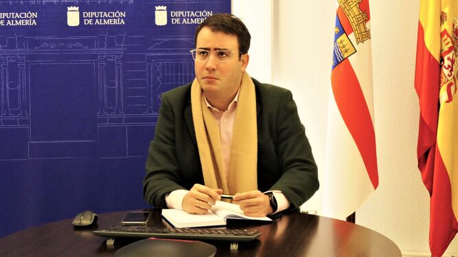 El diputado de Presidencia de la Diputación Provincial, Fernando Giménez, durante la reunión telemática.
