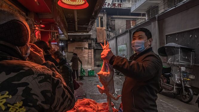 Un ciudadano de Wuhan escoge un pollo en un mercado, en el aniversario del confinamiento de la ciudad china.