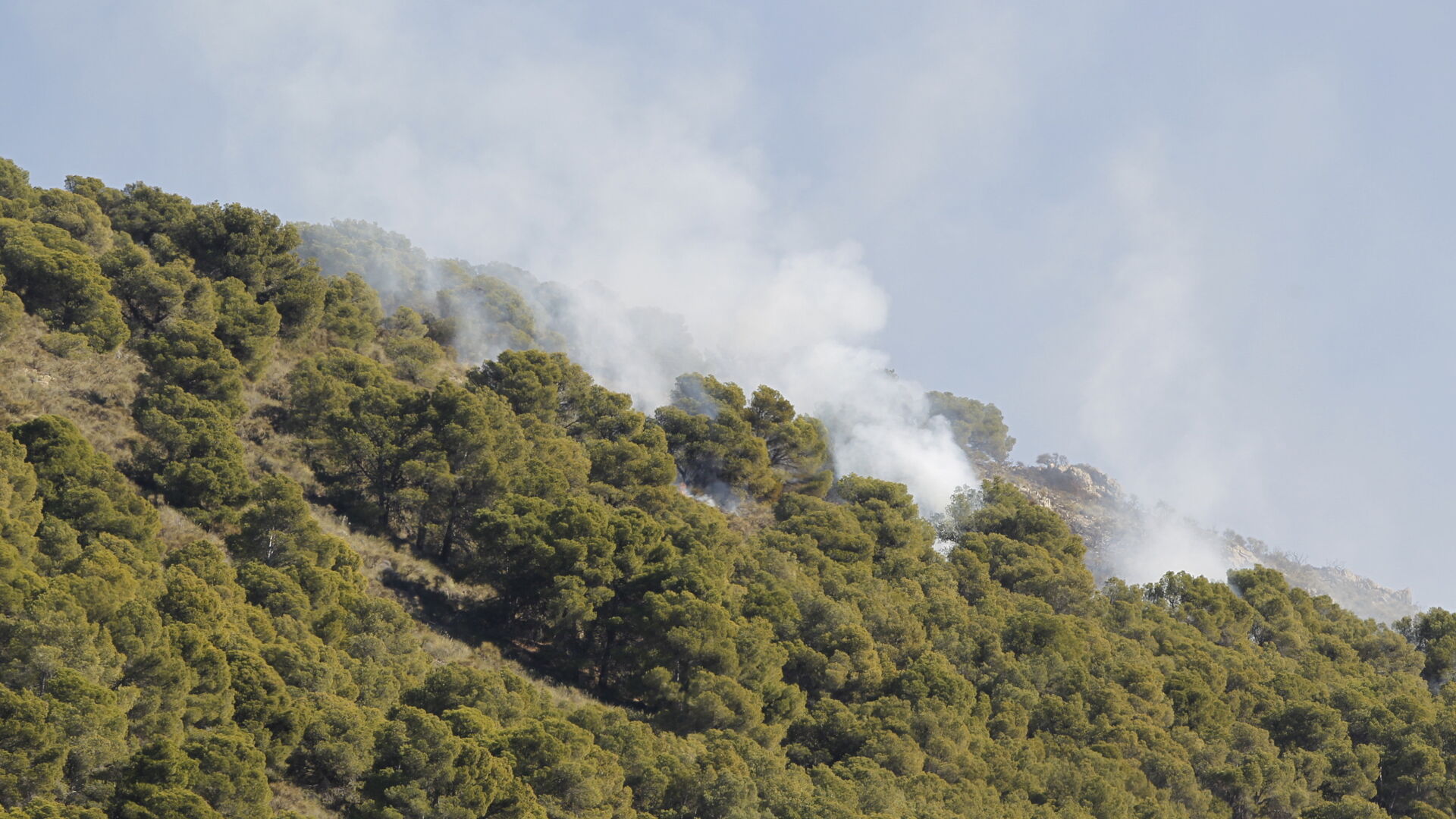 Fotogaler&iacute;a incendio forestal de Castala, Berja y Dal&iacute;as.