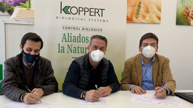 De izquierda a derecha: Juan Miguel Ruíz, director de EFA Campomar; Juan Carlos Rodríguez, delegado de Koppert en Almería y José Manuel Pérez, director de EFA El Soto.