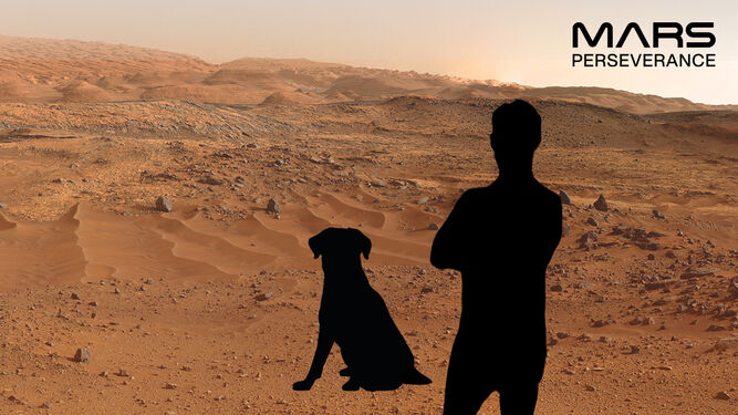 Así puedes hacerte un selfie con el Perseverance en Marte
