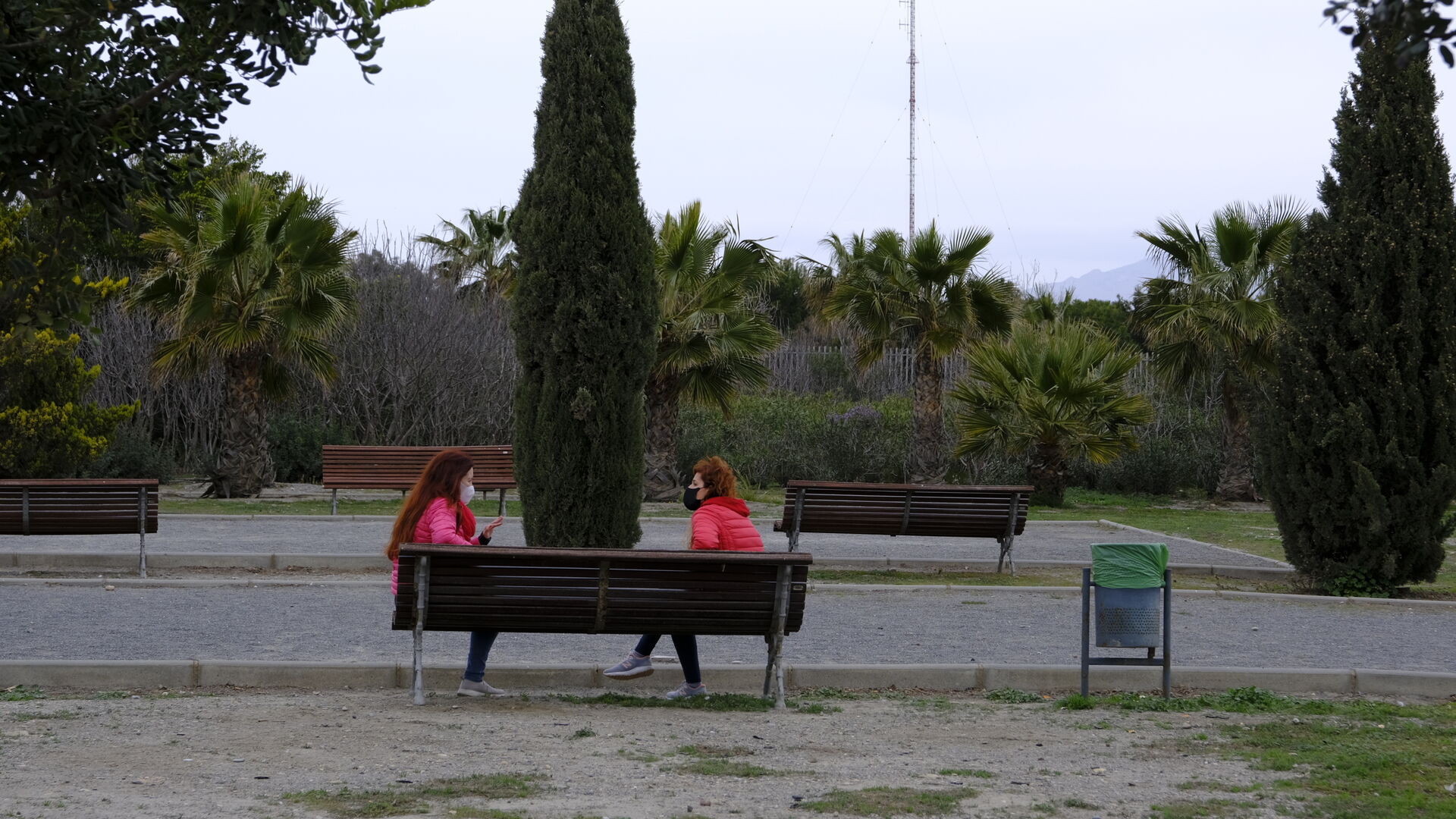 Plantaci&oacute;n de &aacute;rboles en el Parque del Andarax. D&iacute;a de Andaluc&iacute;a.