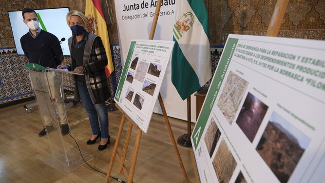 Eloísa Cabrera, delegada de Fomento, presentó hace unas semanas los dos proyectos.