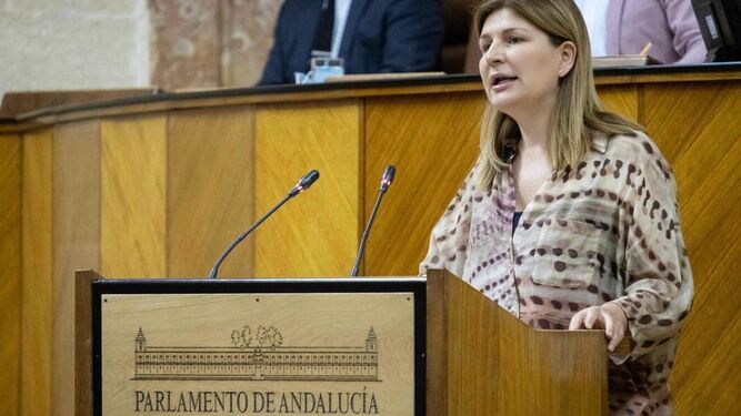 Rosalía Espinosa interviene en el Parlamento de Andalucía.