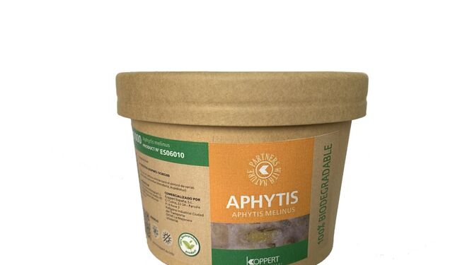 Envase biodegradable de Aphytis de Koppert