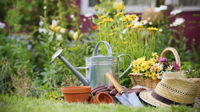 Descubre cuáles son las plantas de exterior por las que debes apostar si quieres que en tu jardín siempre huela a primavera.