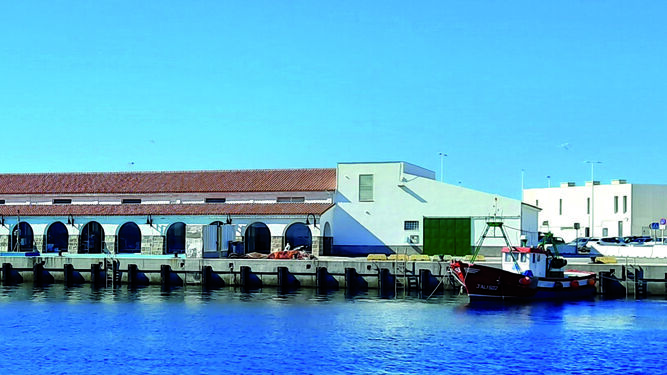 La Lonja de Tarifa comercializa el 70% del atún rojo fresco en Andalucía